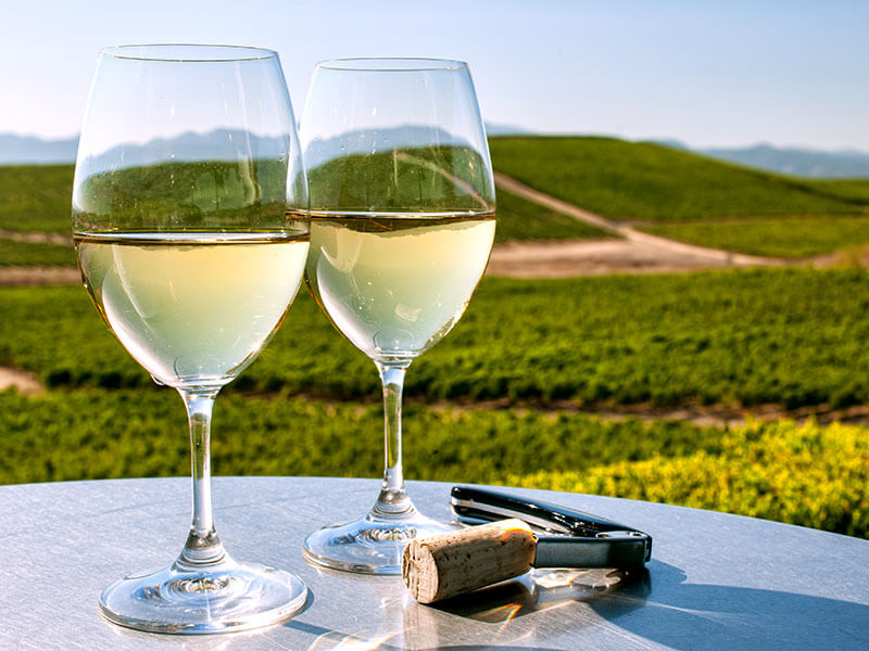wine tasting