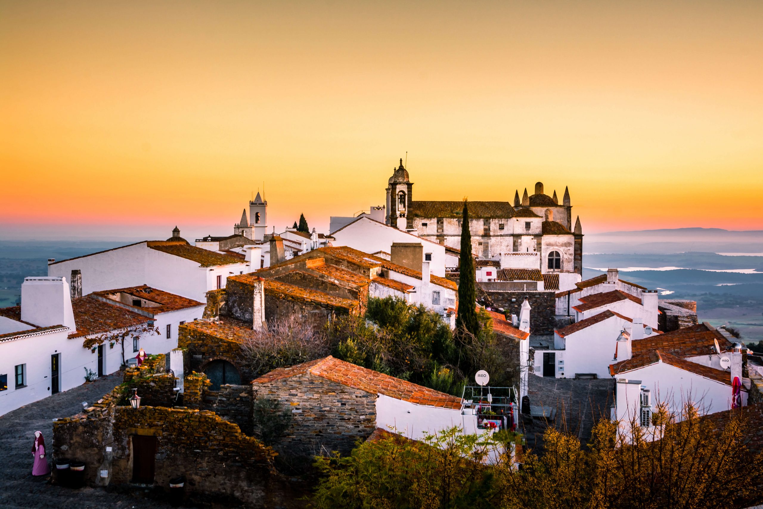 alentejo wine