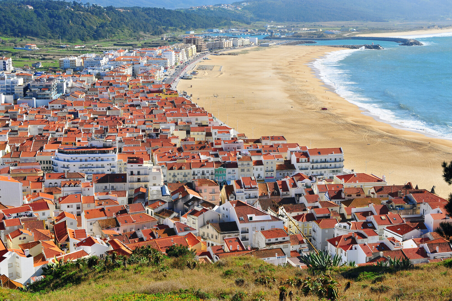 tooo nazare