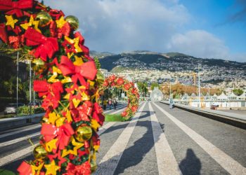 Madeira at Christmas: Markets, Lights & Festive Cheer