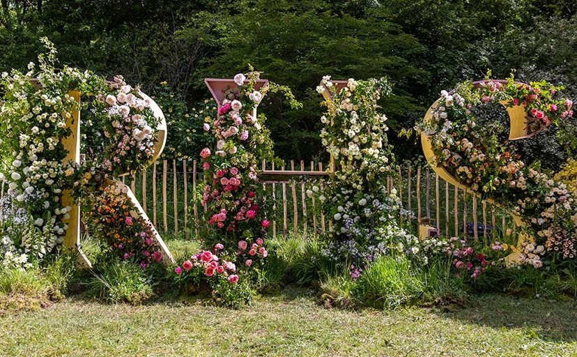 RHS 22